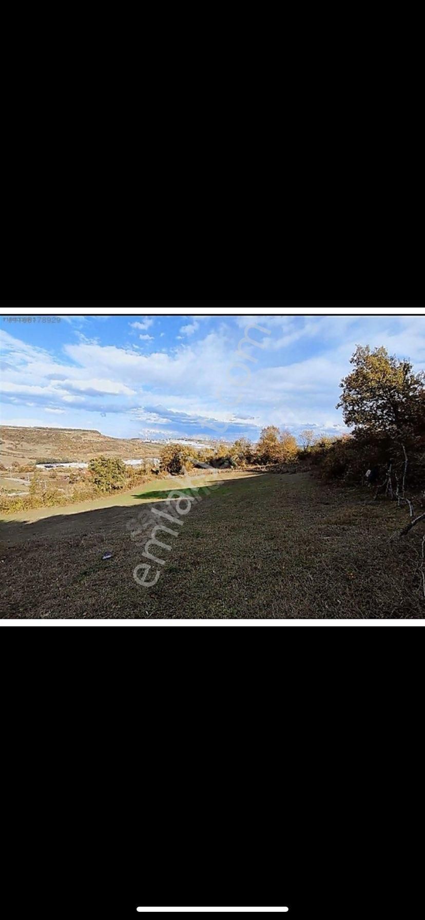 1032 Metre Karesi Satılık - Görsel 2