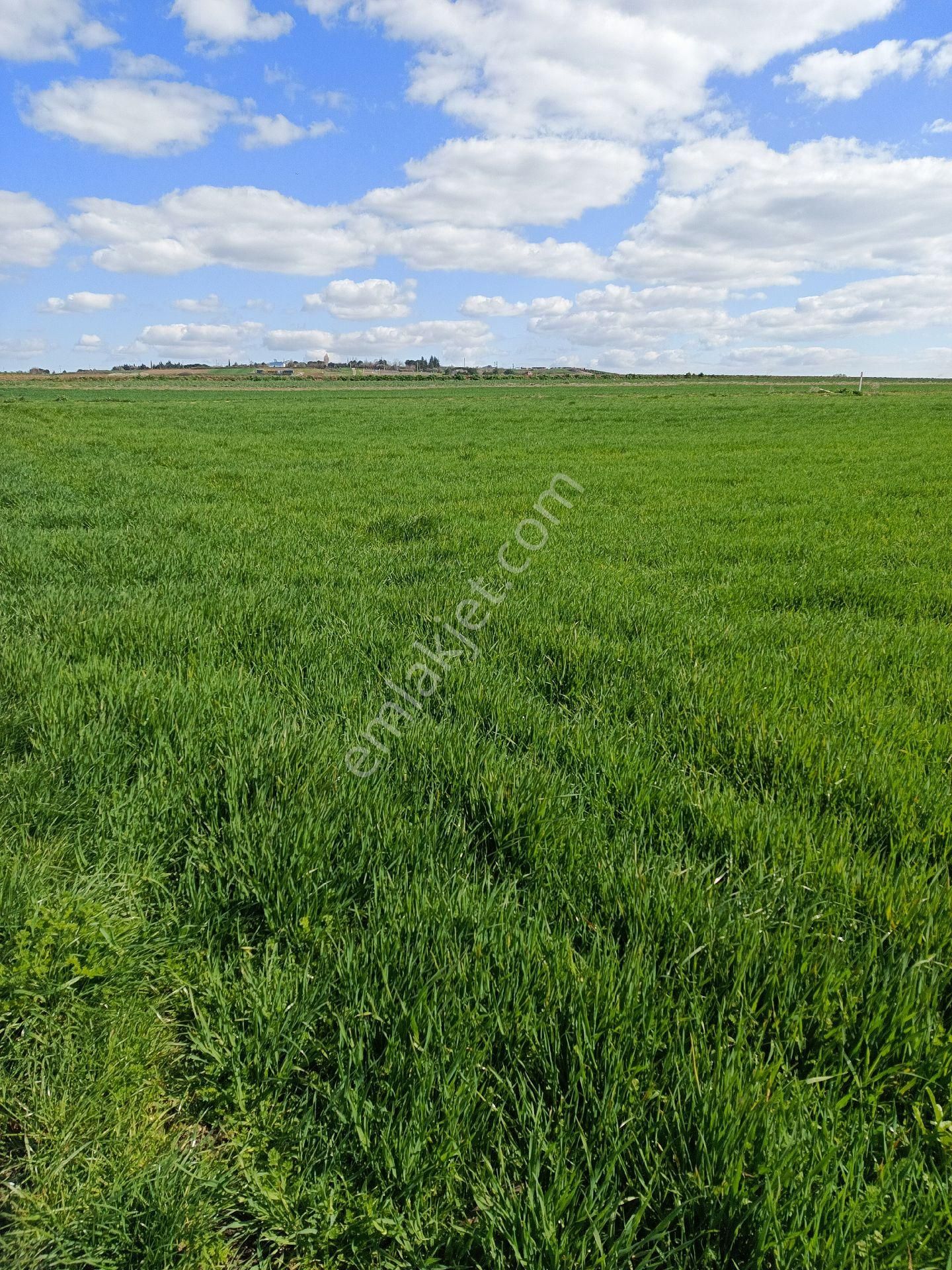 Satılık Arsa - Görsel 11