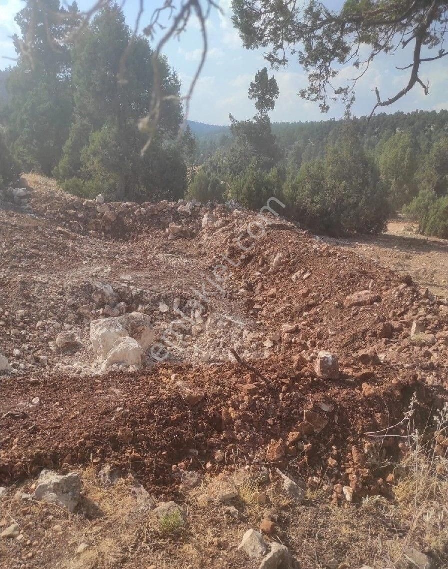 Mersin Silifke Çaltı Bozkır 1031 M2 Yolu Suyu Var Yayla Evi Yapmaya Uygun - Görsel 8