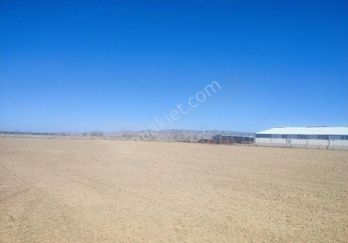 Karaman Merkez Su Durağı Mahallesi 7650 M2 Arsa Sahibinden Satılık - Görsel 7