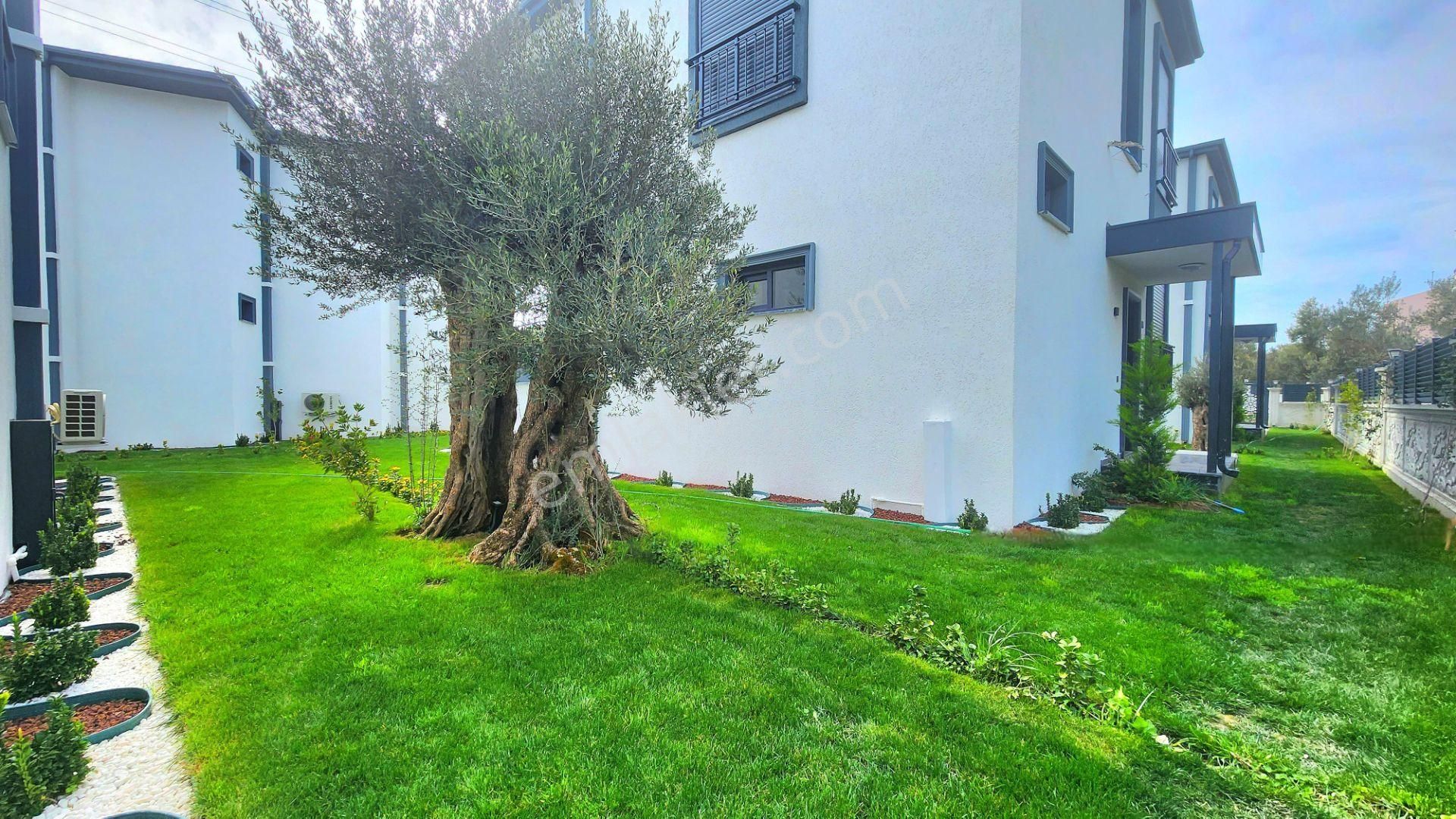 Gümüşden Zeytinlide Ultra Lüks Özel Tasarımlı Enfes 5+1 Müstakil - Görsel 7