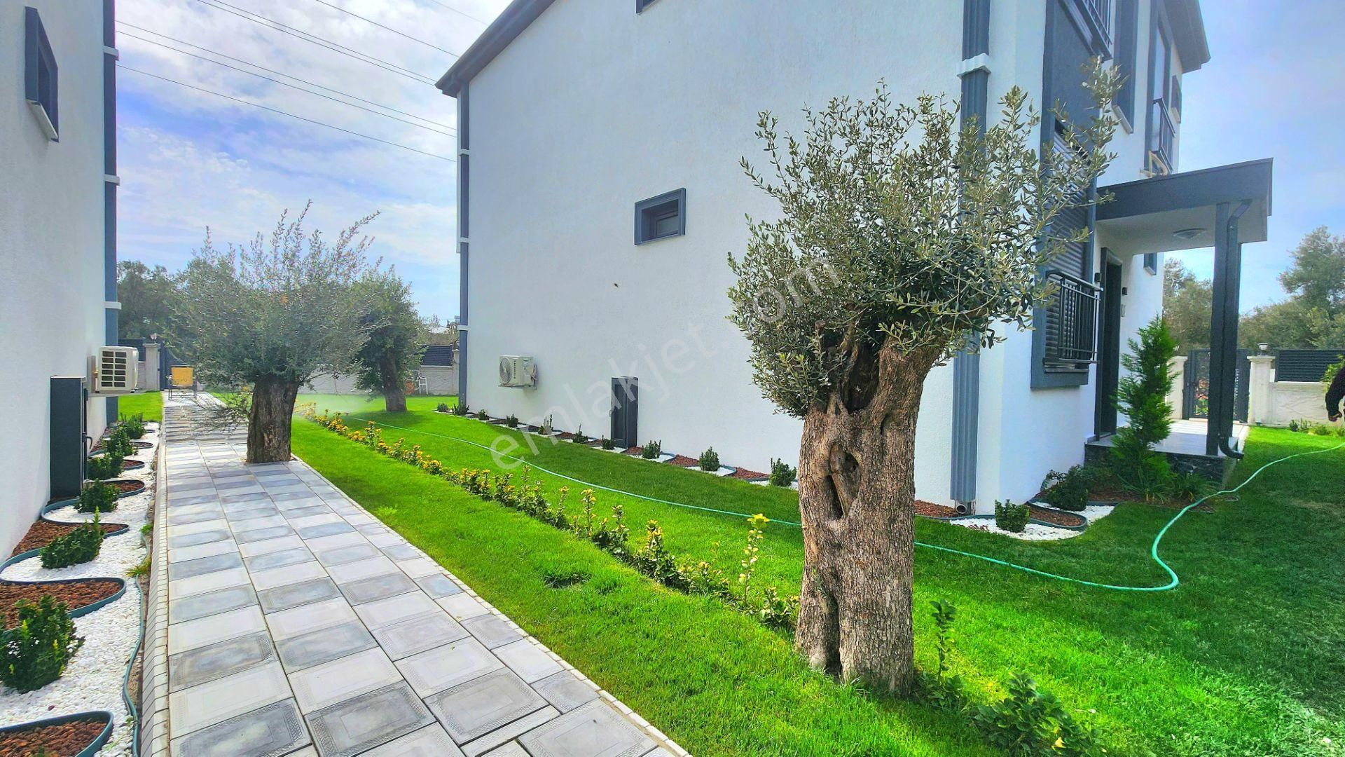 Gümüşden Zeytinlide Ultra Lüks Özel Tasarımlı Enfes 5+1 Müstakil - Görsel 5