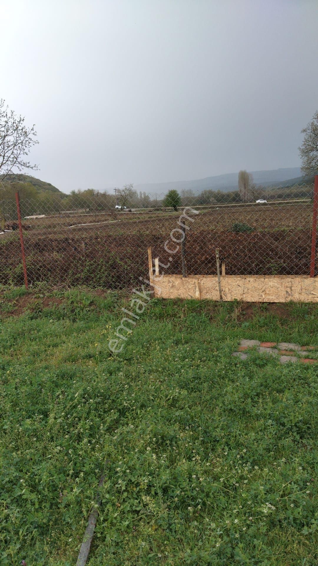 Rt Yılmaz Gayrimenkul'den Gönen Armutlu'da Satılık Bahçe - Görsel 5