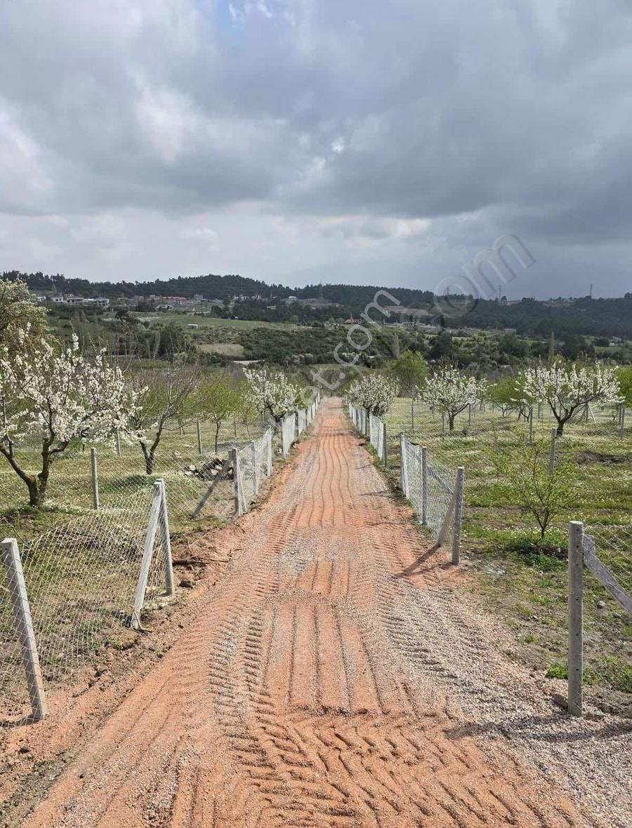 Bornova Beşyol Köyünde Eşsiz Doğasıyla Satılık Parseller - Görsel 33