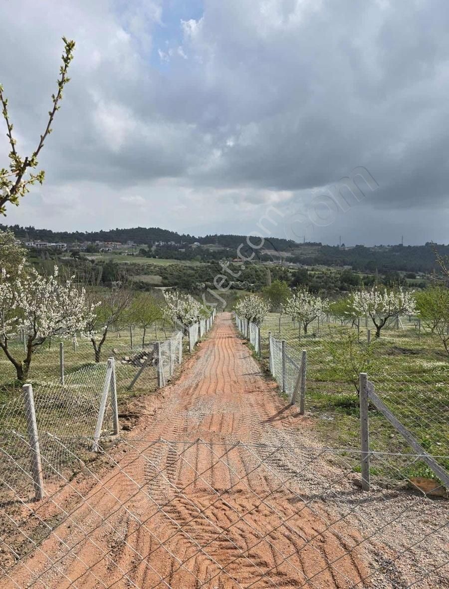 Bornova Beşyol Köyünde Eşsiz Doğasıyla Satılık Parseller - Görsel 29