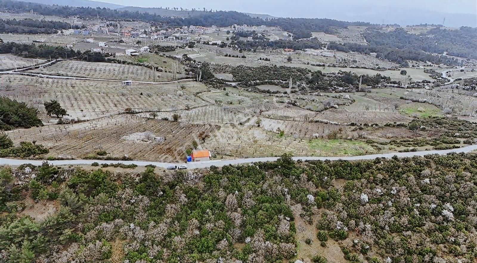 Bornova Beşyol Köyünde Eşsiz Doğasıyla Satılık Parseller - Görsel 7