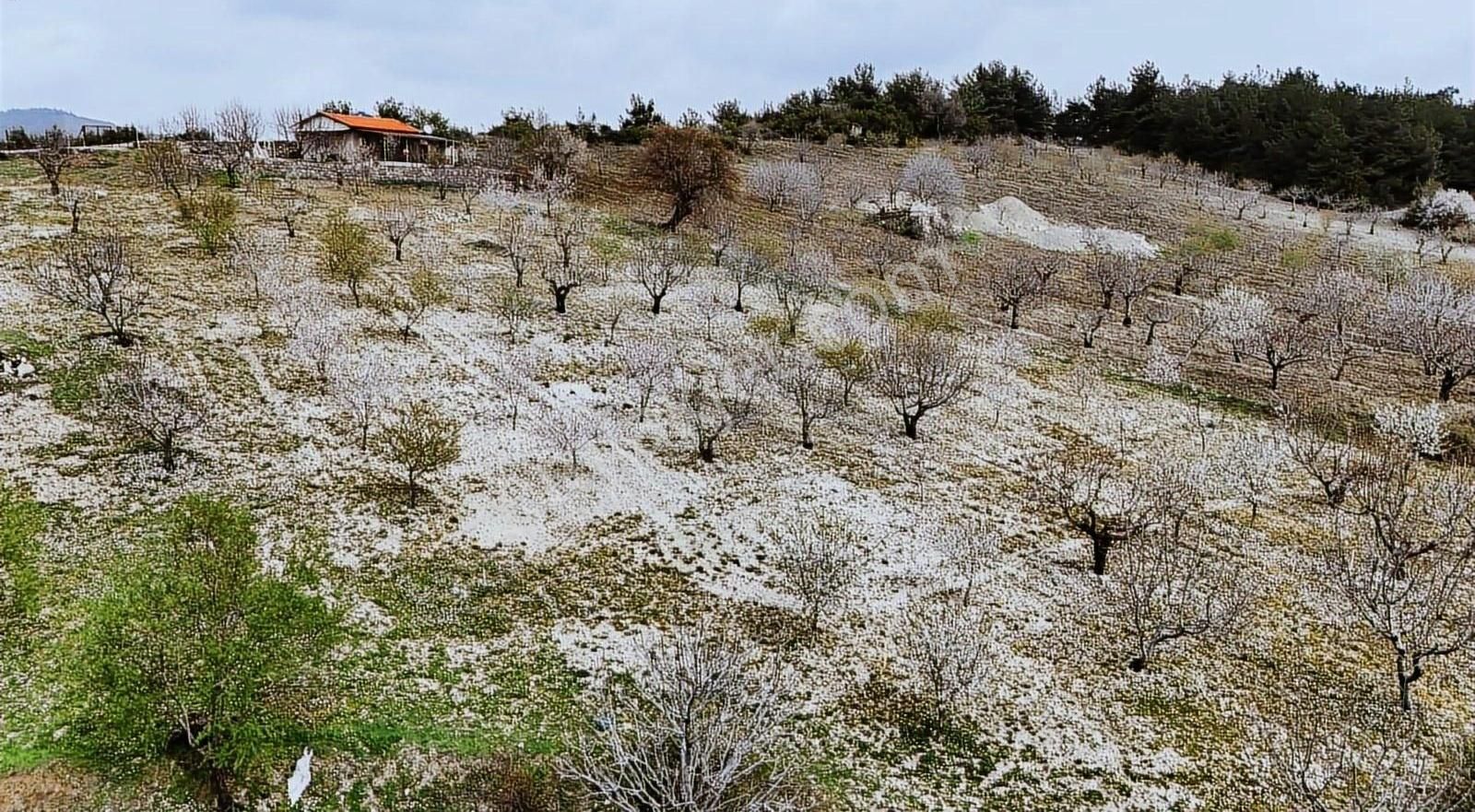 Bornova Beşyol Köyünde Eşsiz Doğasıyla Satılık Parseller - Görsel 24
