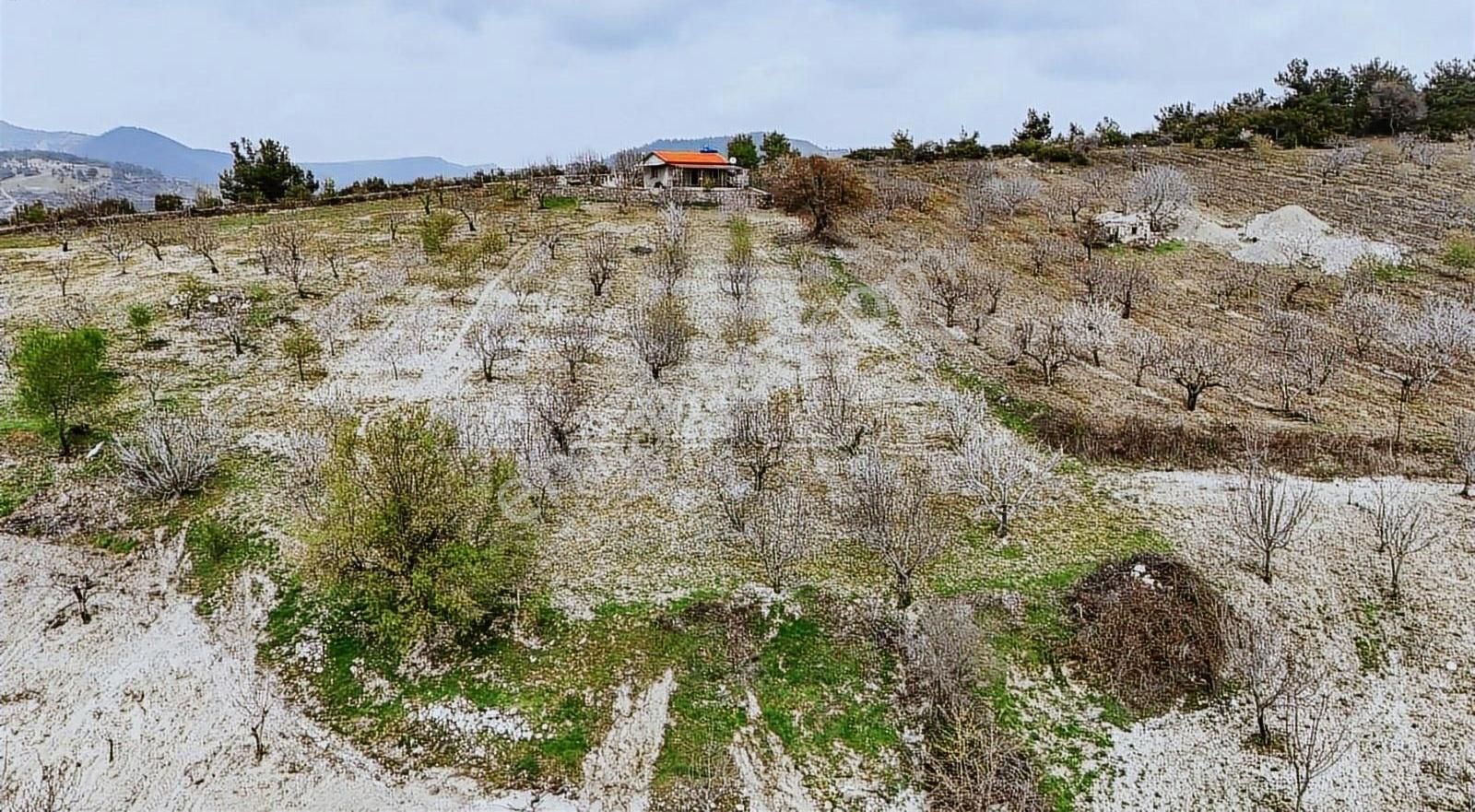 Bornova Beşyol Köyünde Eşsiz Doğasıyla Satılık Parseller - Görsel 27