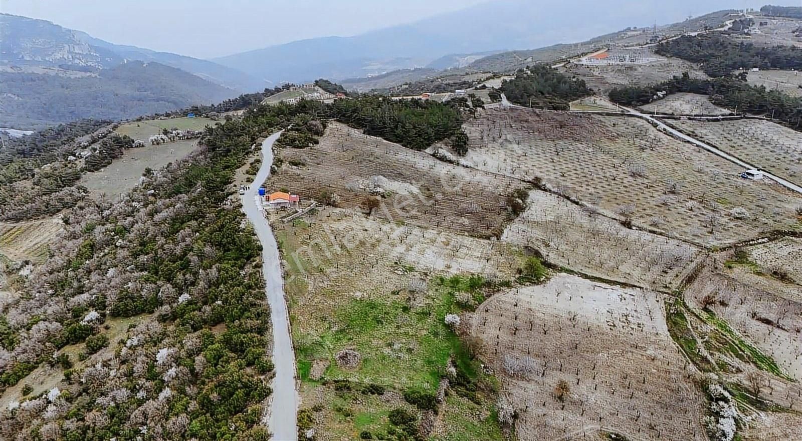 Bornova Beşyol Köyünde Eşsiz Doğasıyla Satılık Parseller - Görsel 31