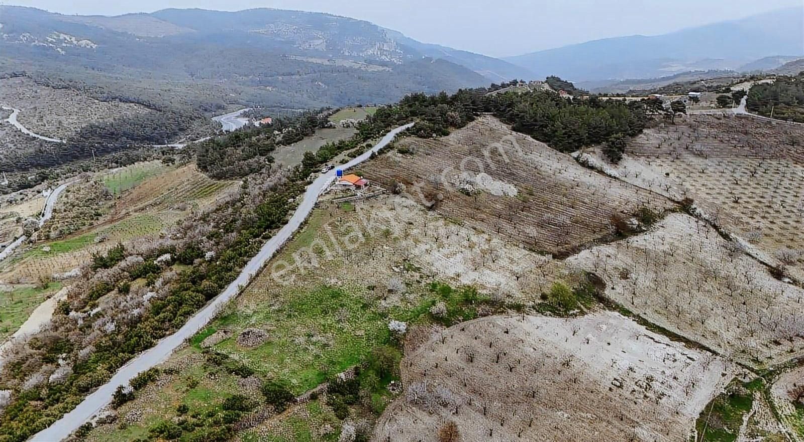 Bornova Beşyol Köyünde Eşsiz Doğasıyla Satılık Parseller - Görsel 13