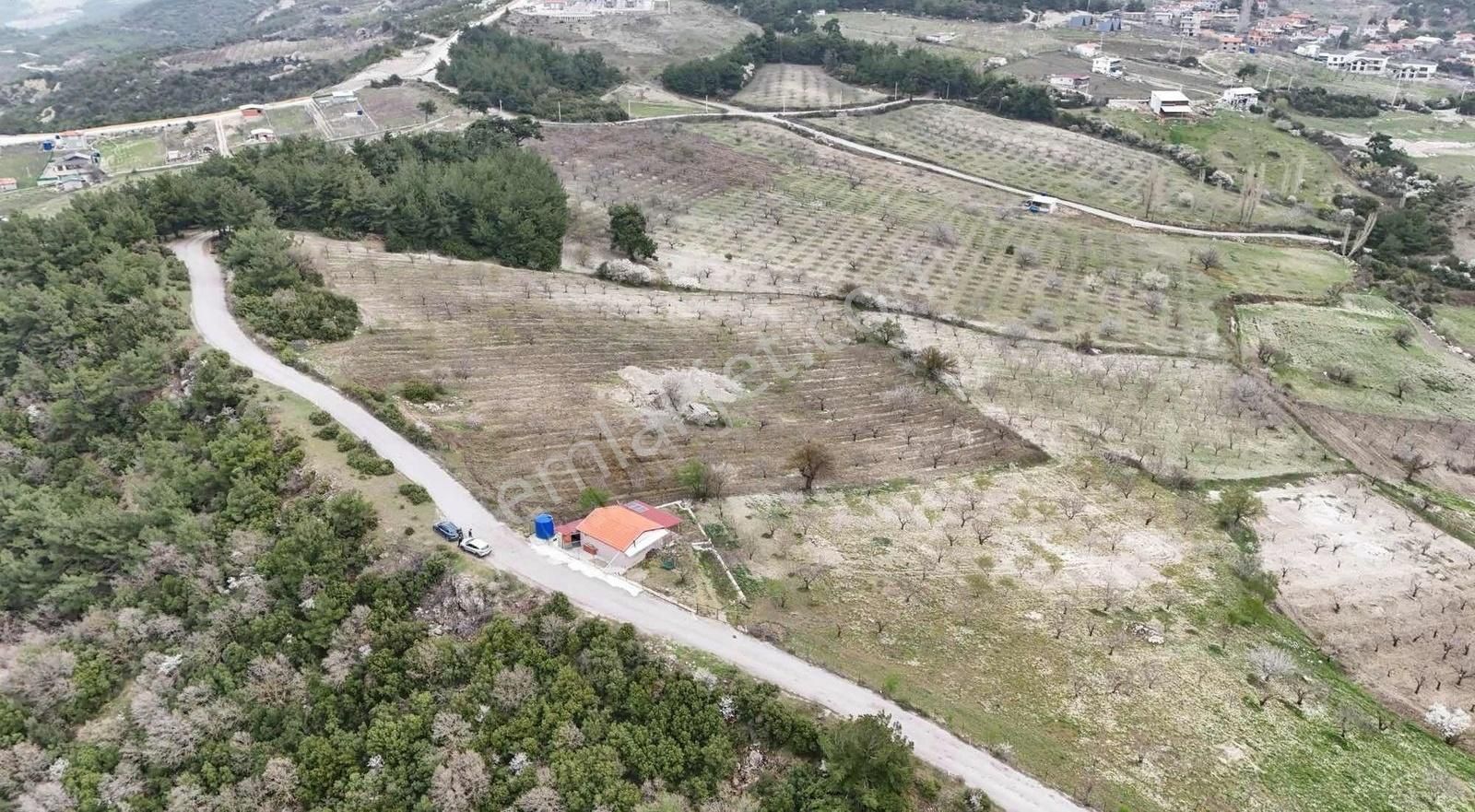 Bornova Beşyol Köyünde Eşsiz Doğasıyla Satılık Parseller - Görsel 28