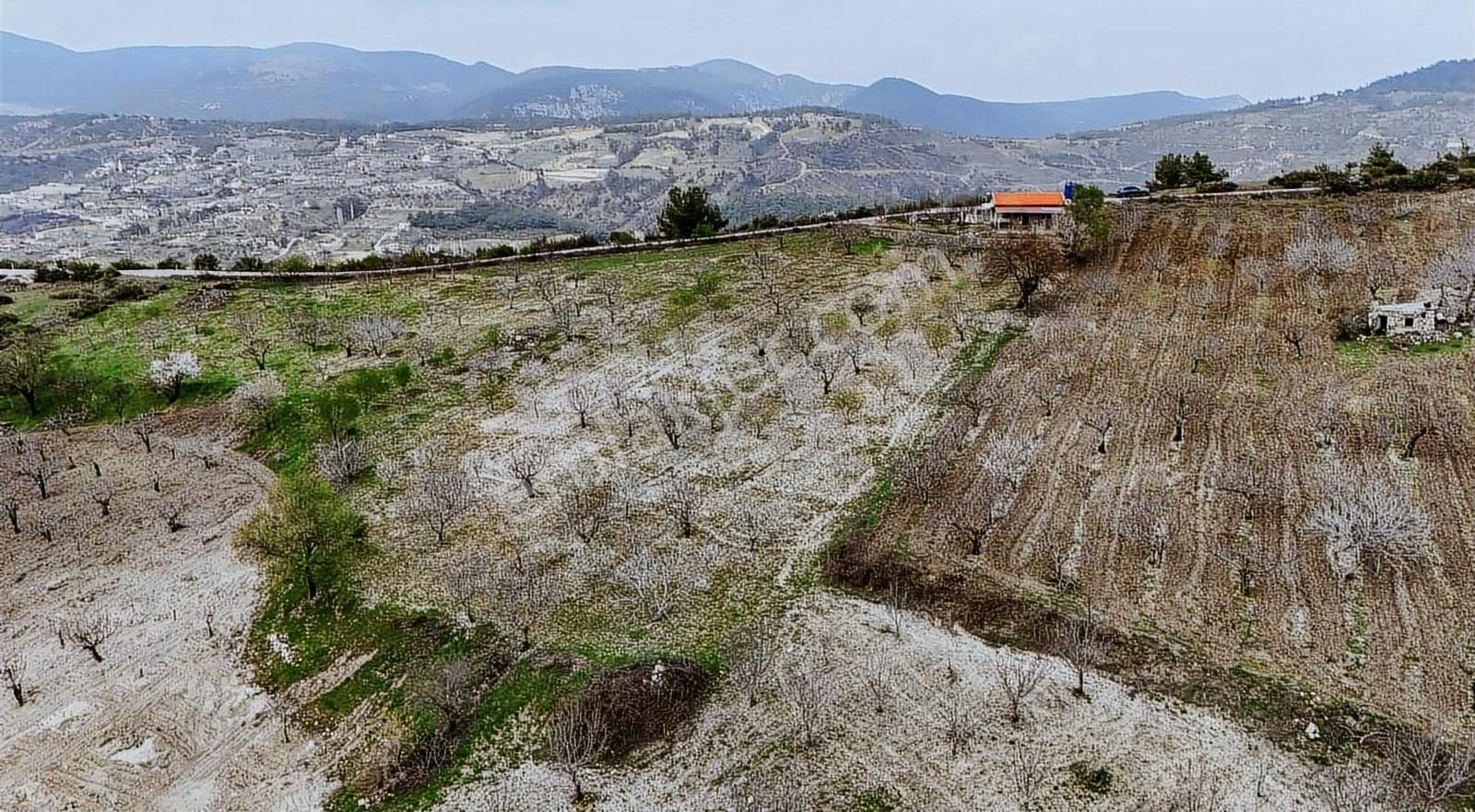 Bornova Beşyol Köyünde Eşsiz Doğasıyla Satılık Parseller - Görsel 3