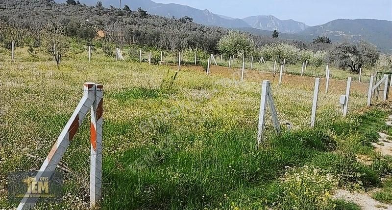 Tapulu Müthiş Bahçe - Görsel 8