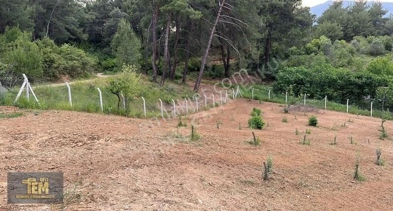 Temofis'den Gölet Yakını Muhteşem Bir Bahçe - Görsel 6