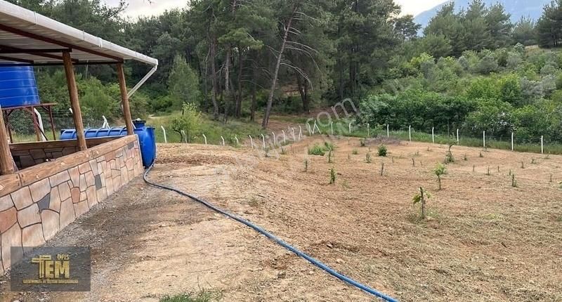 Temofis'den Gölet Yakını Muhteşem Bir Bahçe - Görsel 15