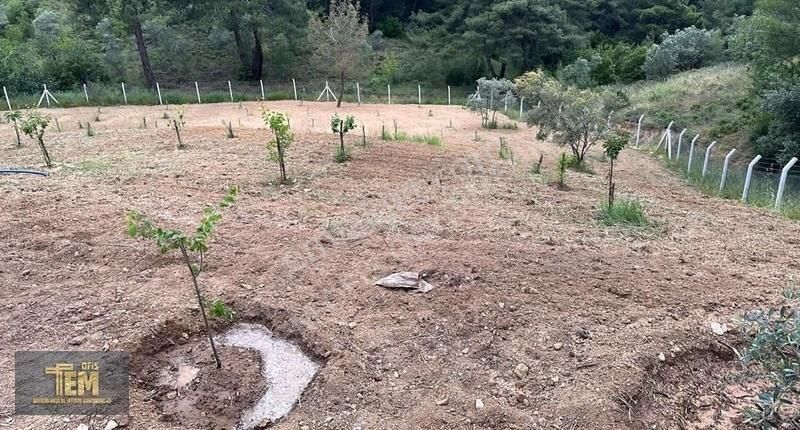 Temofis'den Gölet Yakını Muhteşem Bir Bahçe - Görsel 13