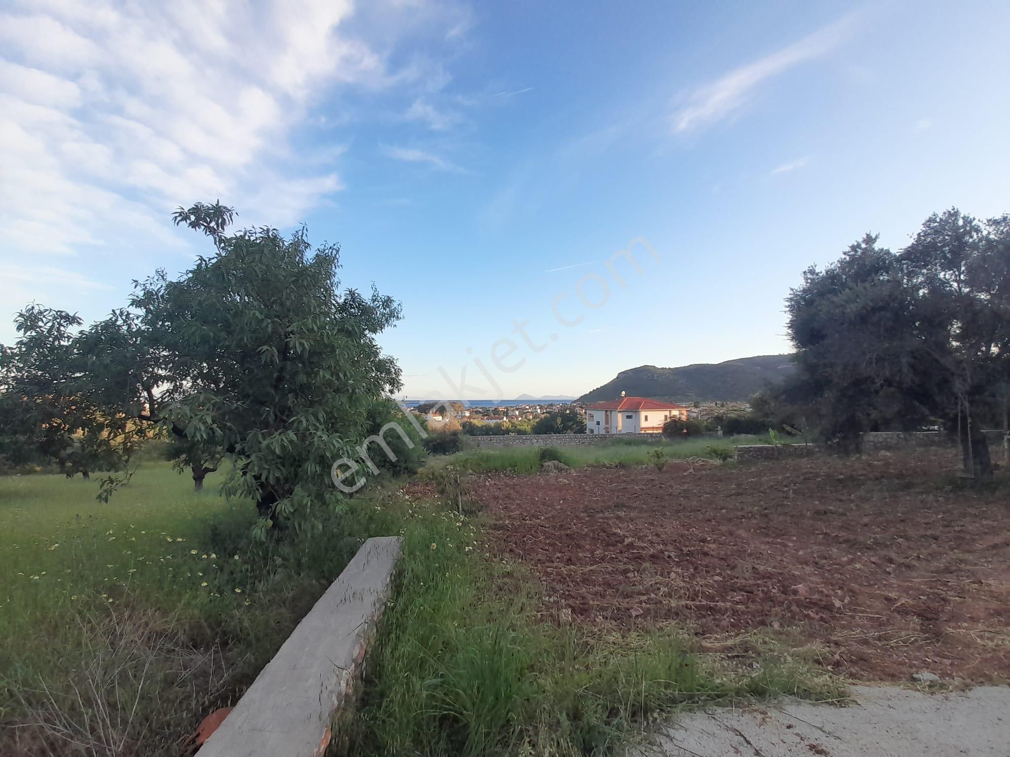 Datça Palamutbükü 'nde 1.120 M2 İmarlı Deniz Manzaralı Arsa - Görsel 21