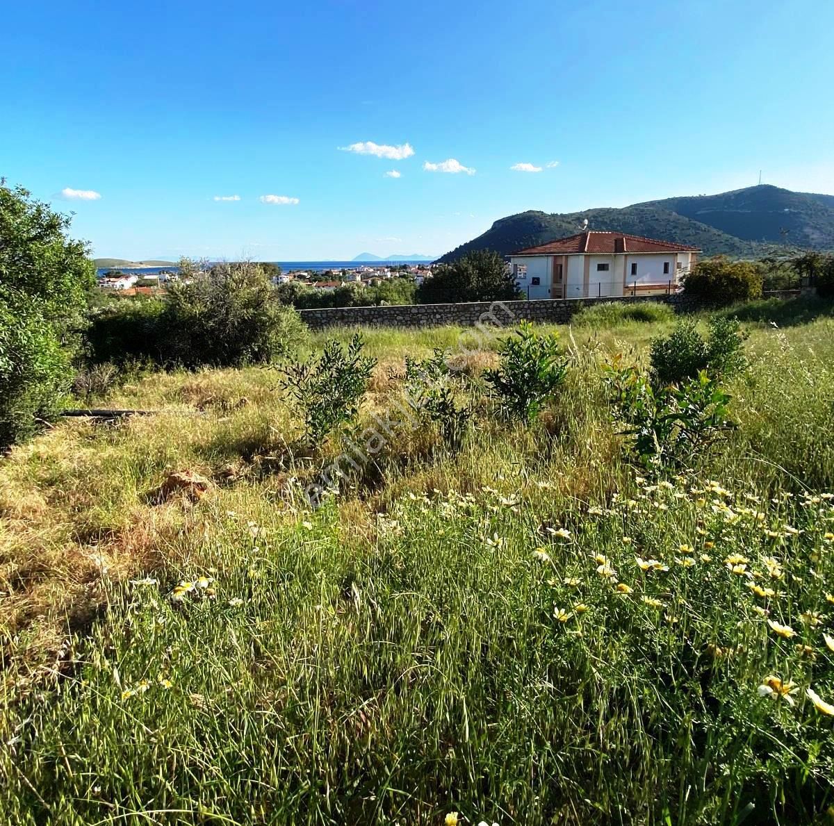 Datça Palamutbükü 'nde 1.120 M2 İmarlı Deniz Manzaralı Arsa - Görsel 6