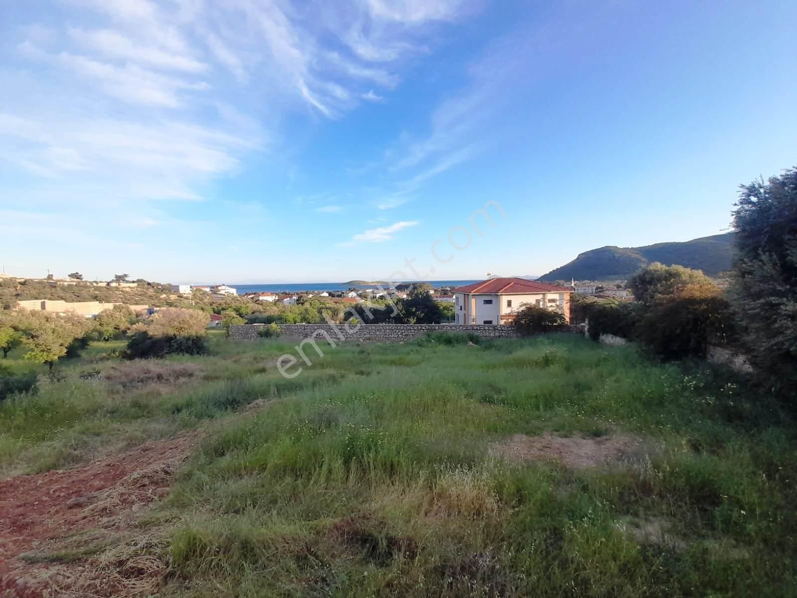 Datça Palamutbükü 'nde 1.120 M2 İmarlı Deniz Manzaralı Arsa - Görsel 12