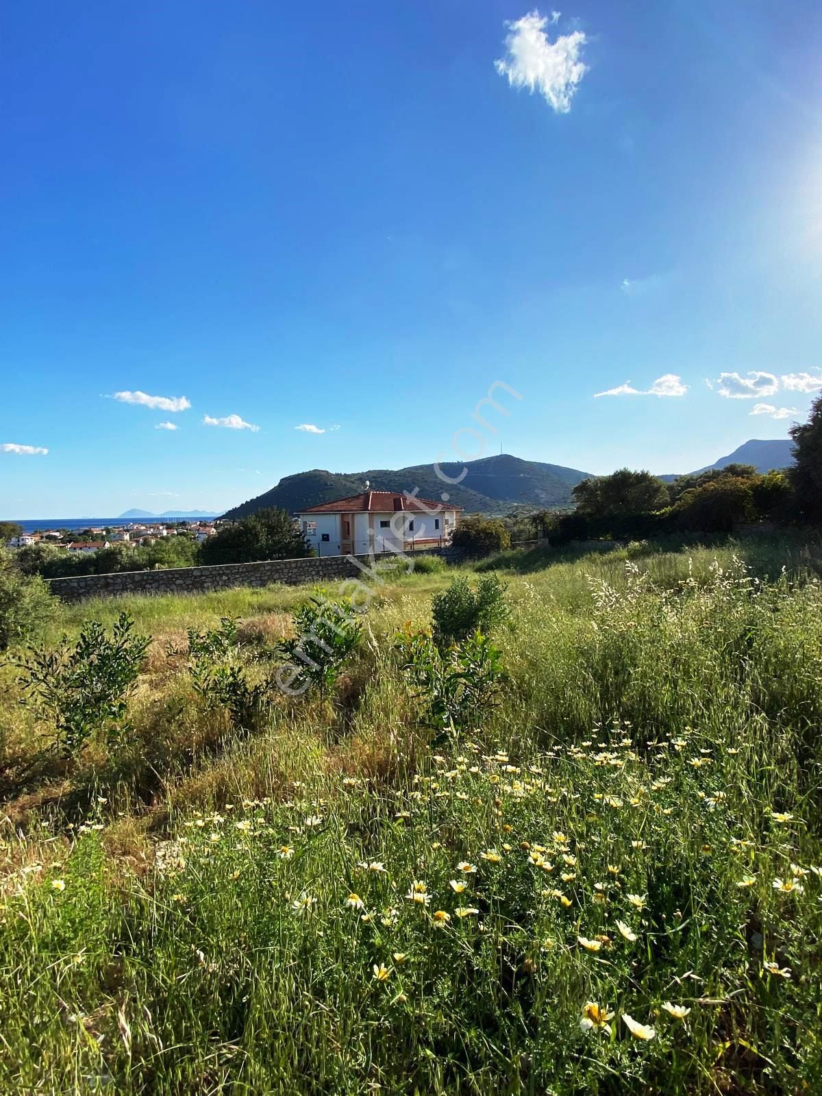 Datça Palamutbükü 'nde 1.120 M2 İmarlı Deniz Manzaralı Arsa - Görsel 24