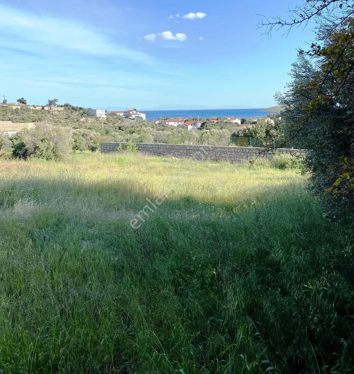 Datça Palamutbükü 'nde 1.120 M2 İmarlı Deniz Manzaralı Arsa - Görsel 10