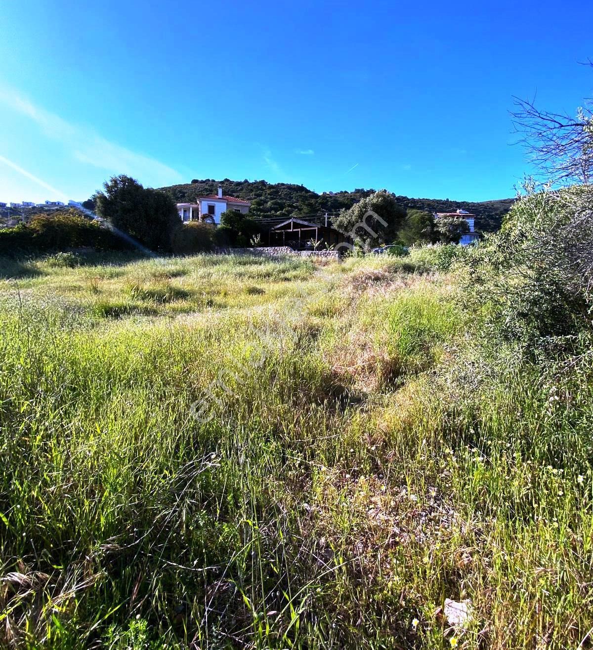 Datça Palamutbükü 'nde 1.120 M2 İmarlı Deniz Manzaralı Arsa - Görsel 20