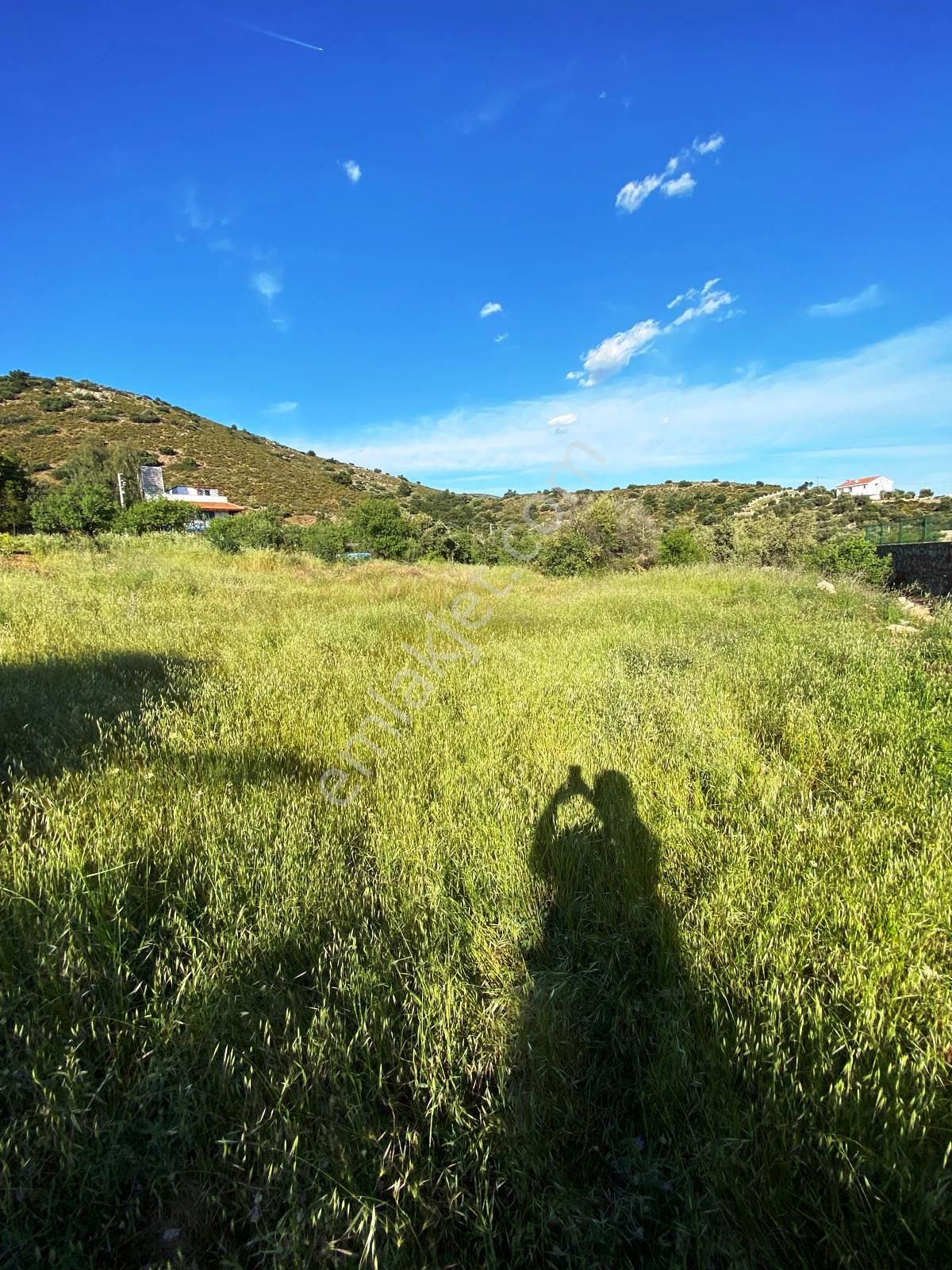 Datça Palamutbükü 'nde 1.120 M2 İmarlı Deniz Manzaralı Arsa - Görsel 33