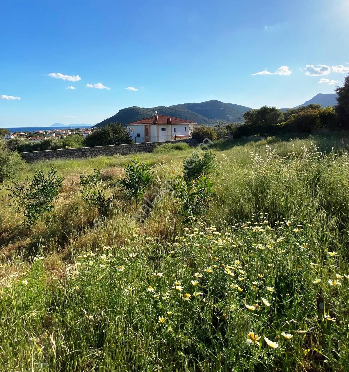 Datça Palamutbükü 'nde 1.120 M2 İmarlı Deniz Manzaralı Arsa - Görsel 15