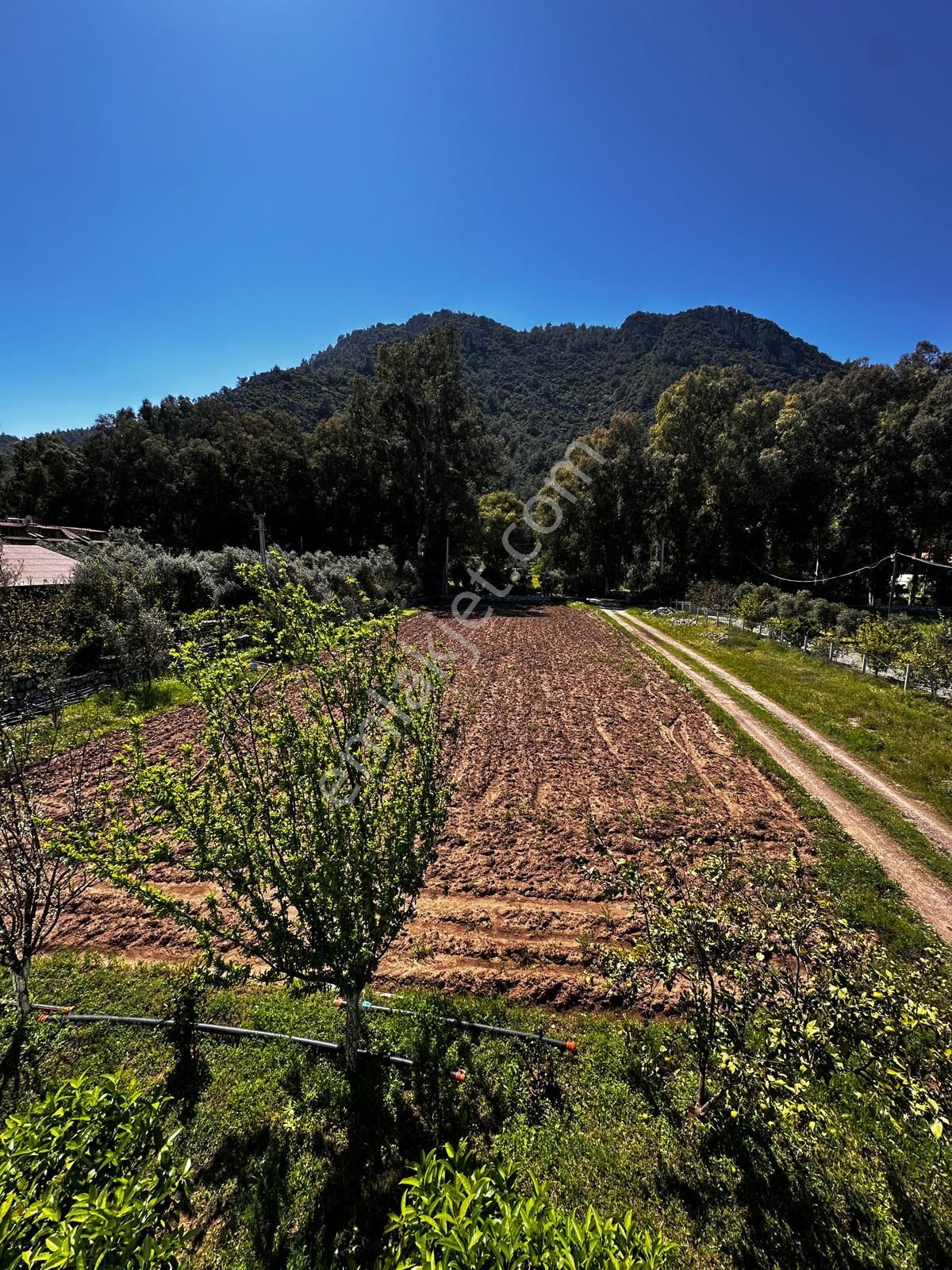 Marmaris Turgut Köyü’nde Denize 200m Kiralık 1+1 Daire - Görsel 13