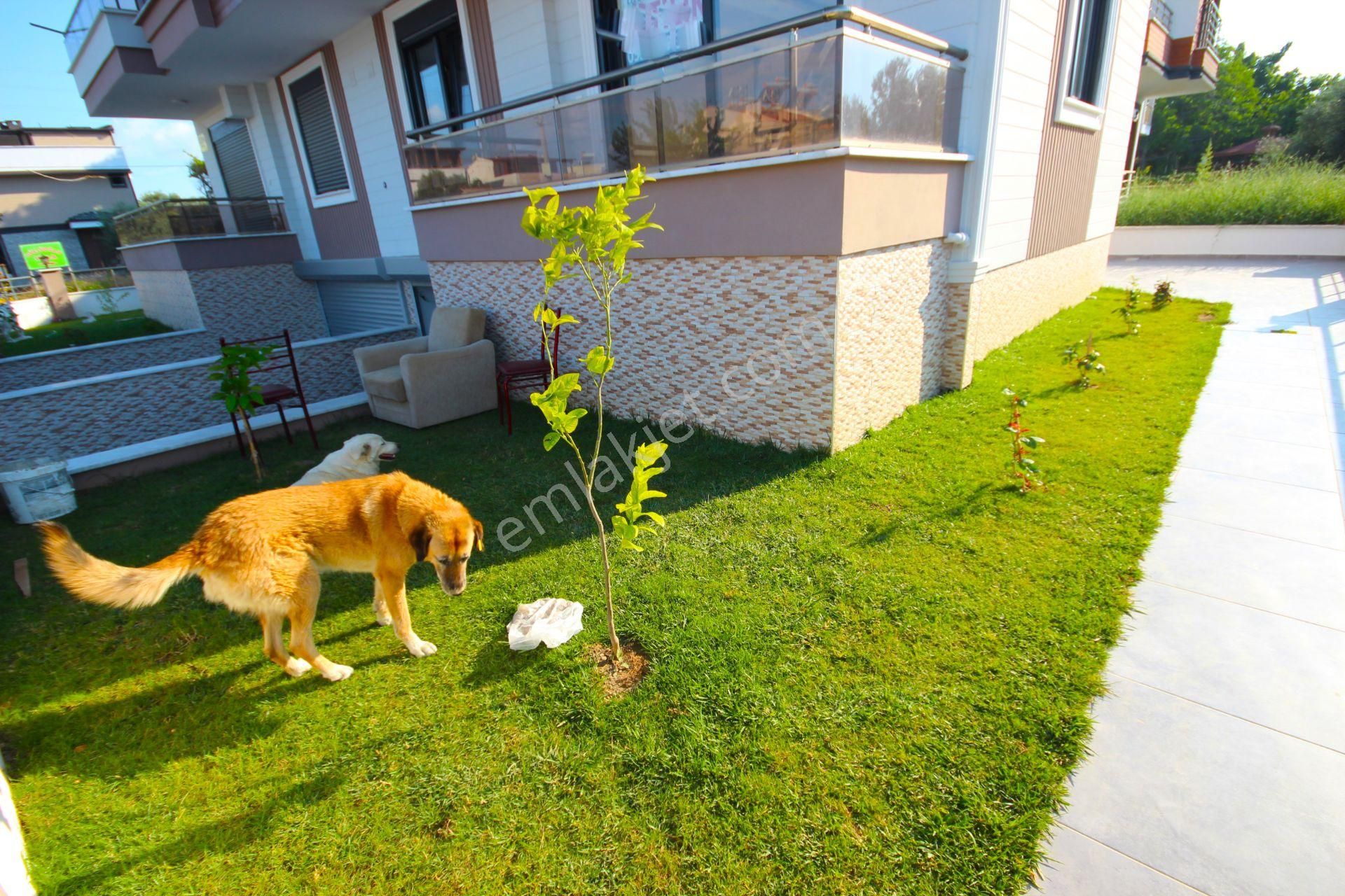 Vahdet'ten Güre Ssk'da Kapalı Garajlı Müstakil Bahçeli 3+1 Villa - Görsel 4