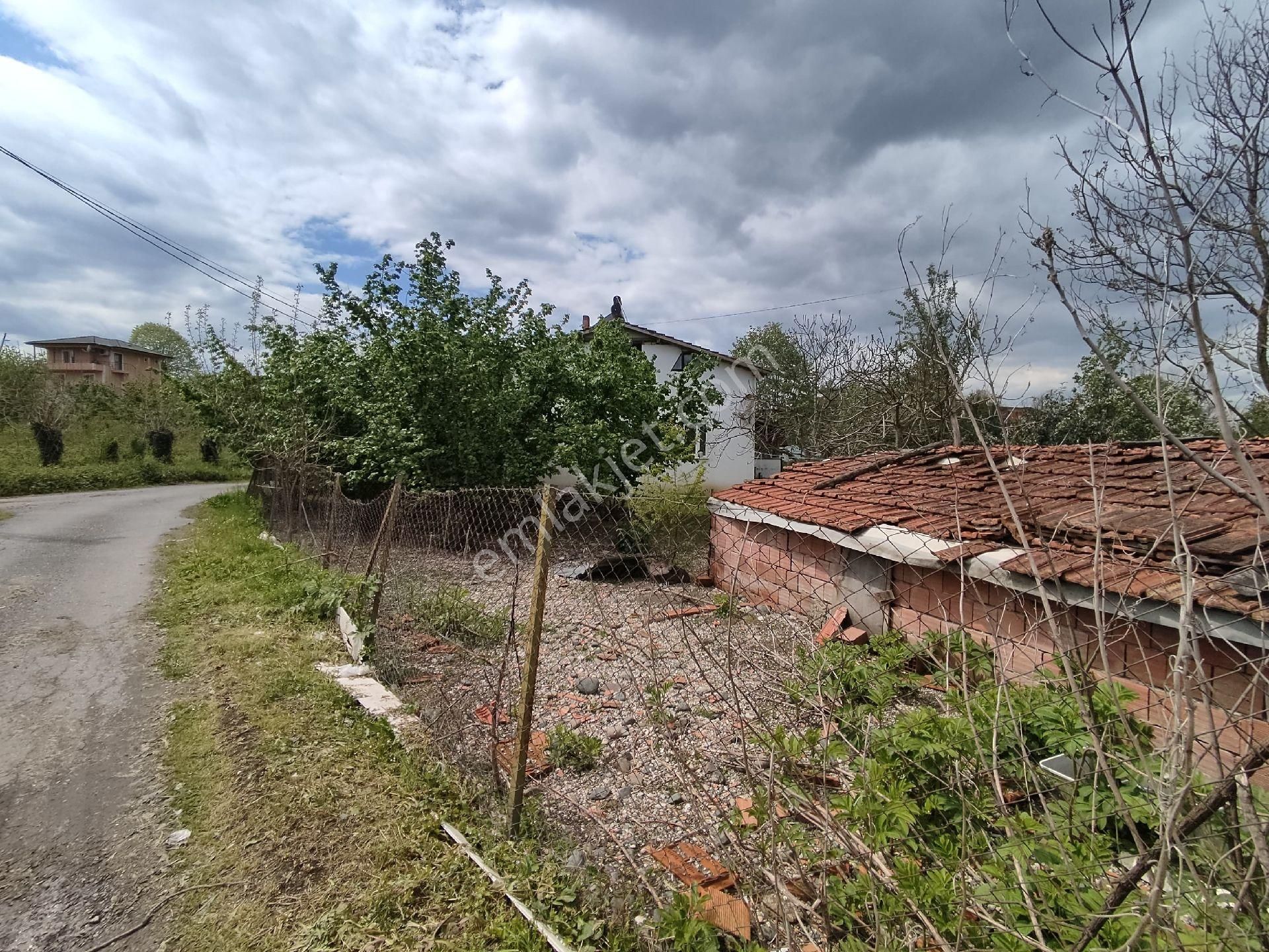 Sakarya Erenler Mahallesi - Görsel 4