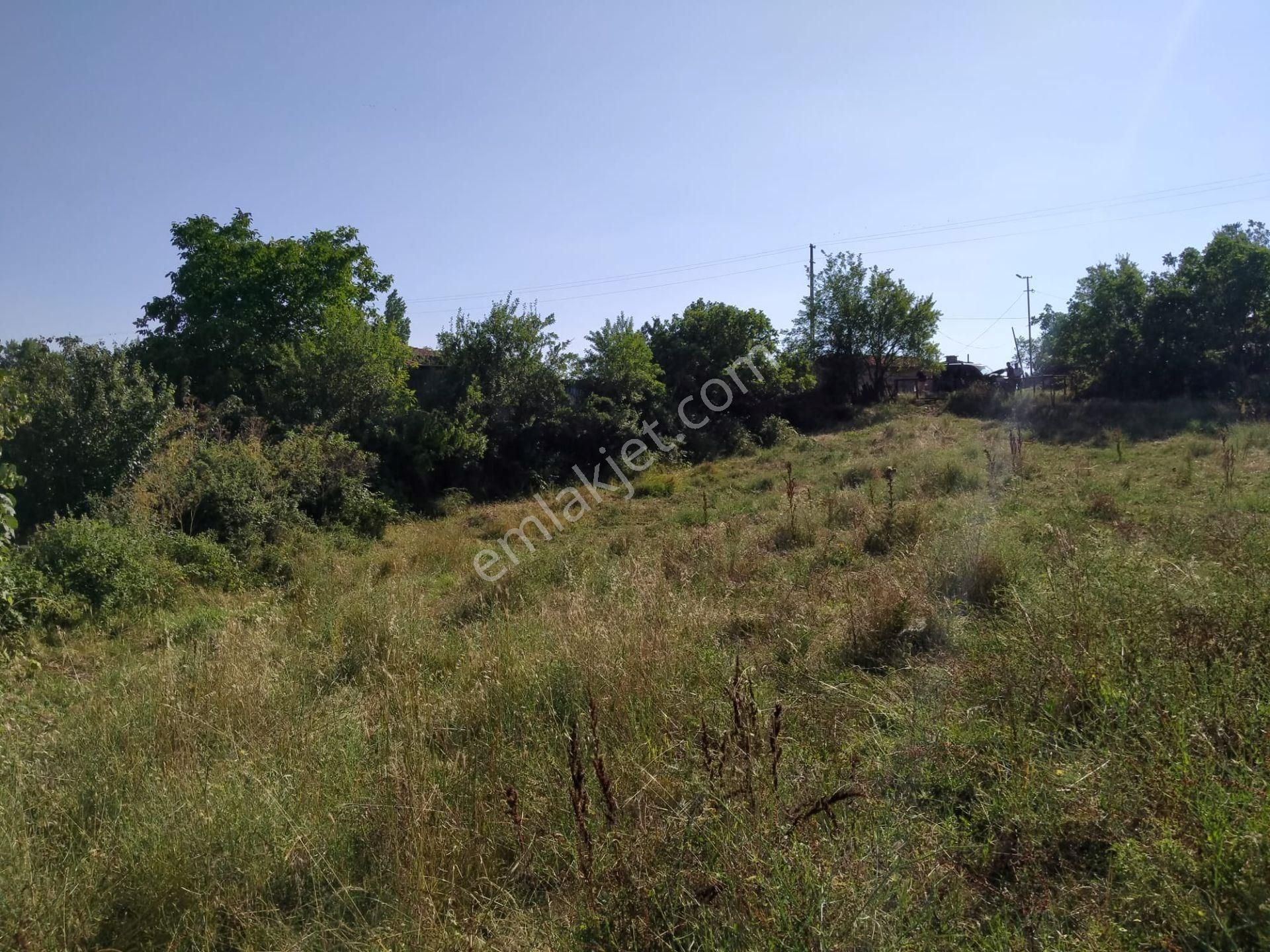 1731 M² %40 2 Kat İmarlı Köy Arsası Kadılar Köyü Çan Çanakkale - Görsel 12