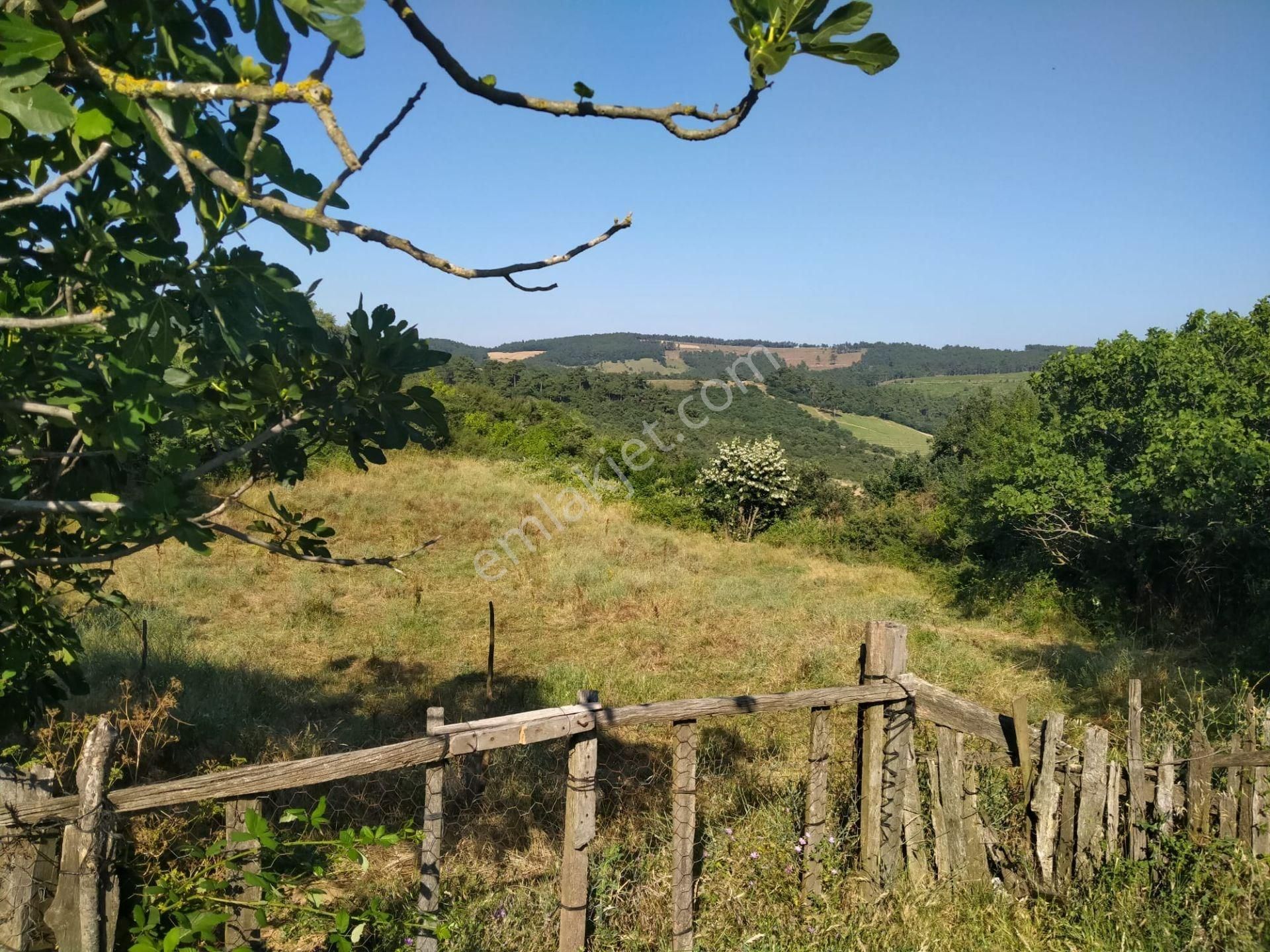 1731 M² %40 2 Kat İmarlı Köy Arsası Kadılar Köyü Çan Çanakkale - Görsel 11