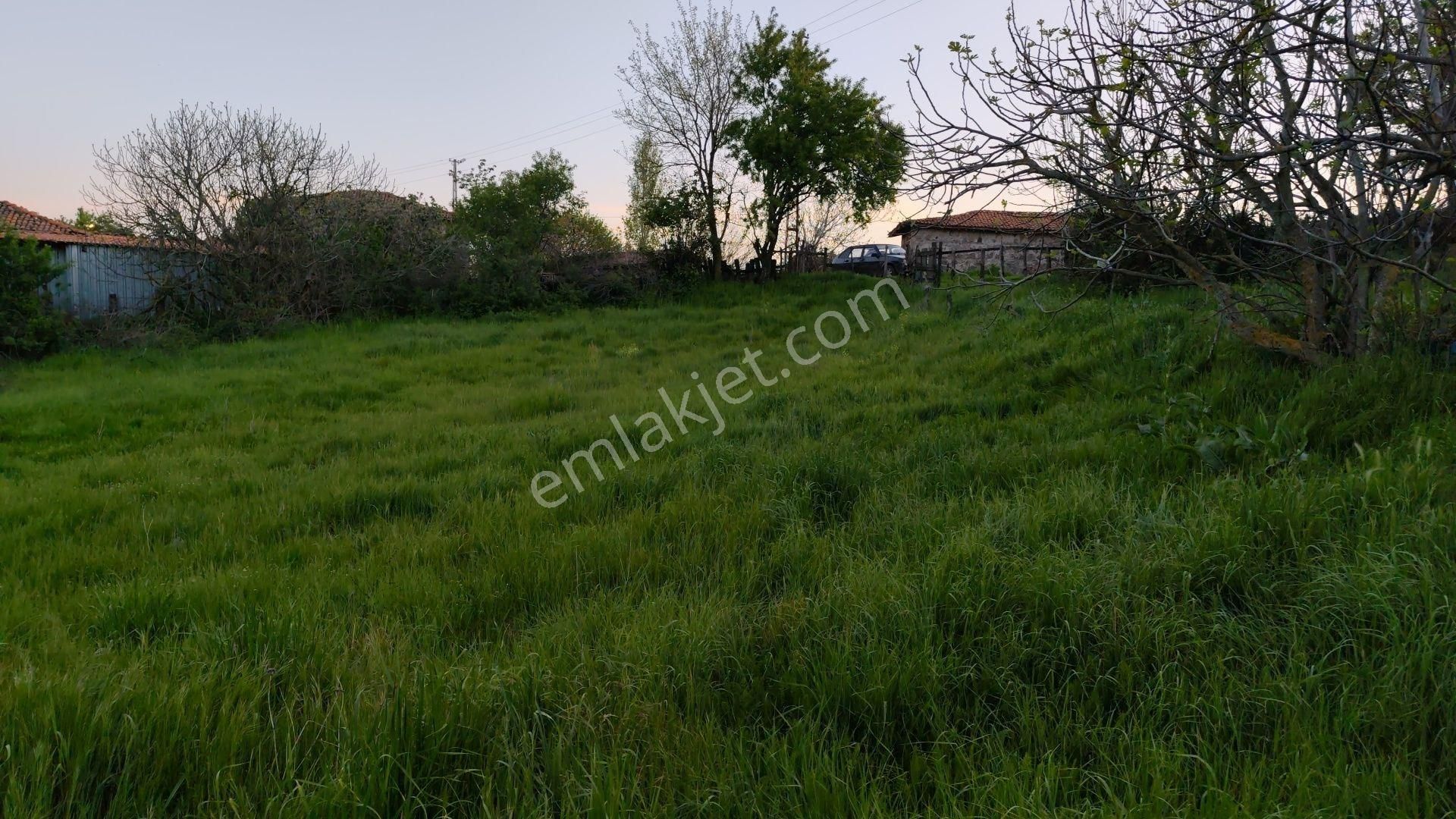 1731 M² %40 2 Kat İmarlı Köy Arsası Kadılar Köyü Çan Çanakkale - Görsel 17