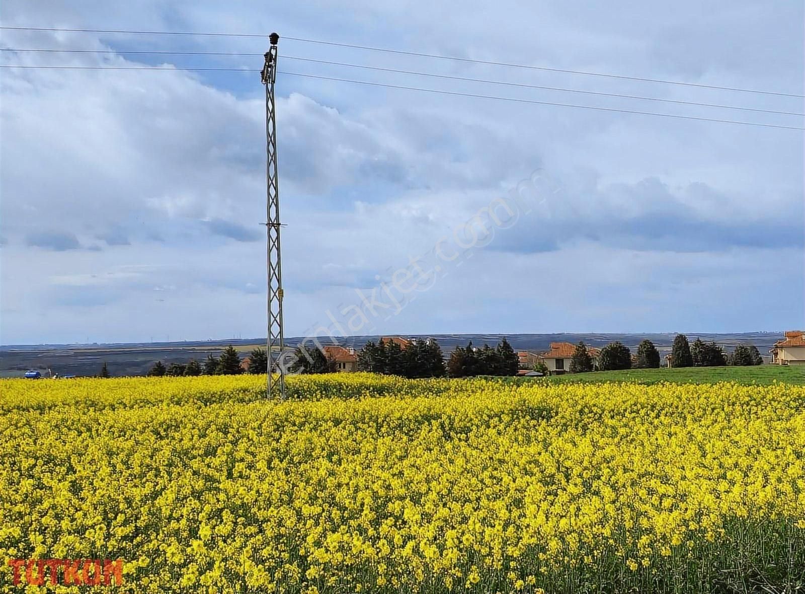 Arsa Tapulu İmarlı 250m Son Parsel - Görsel 15