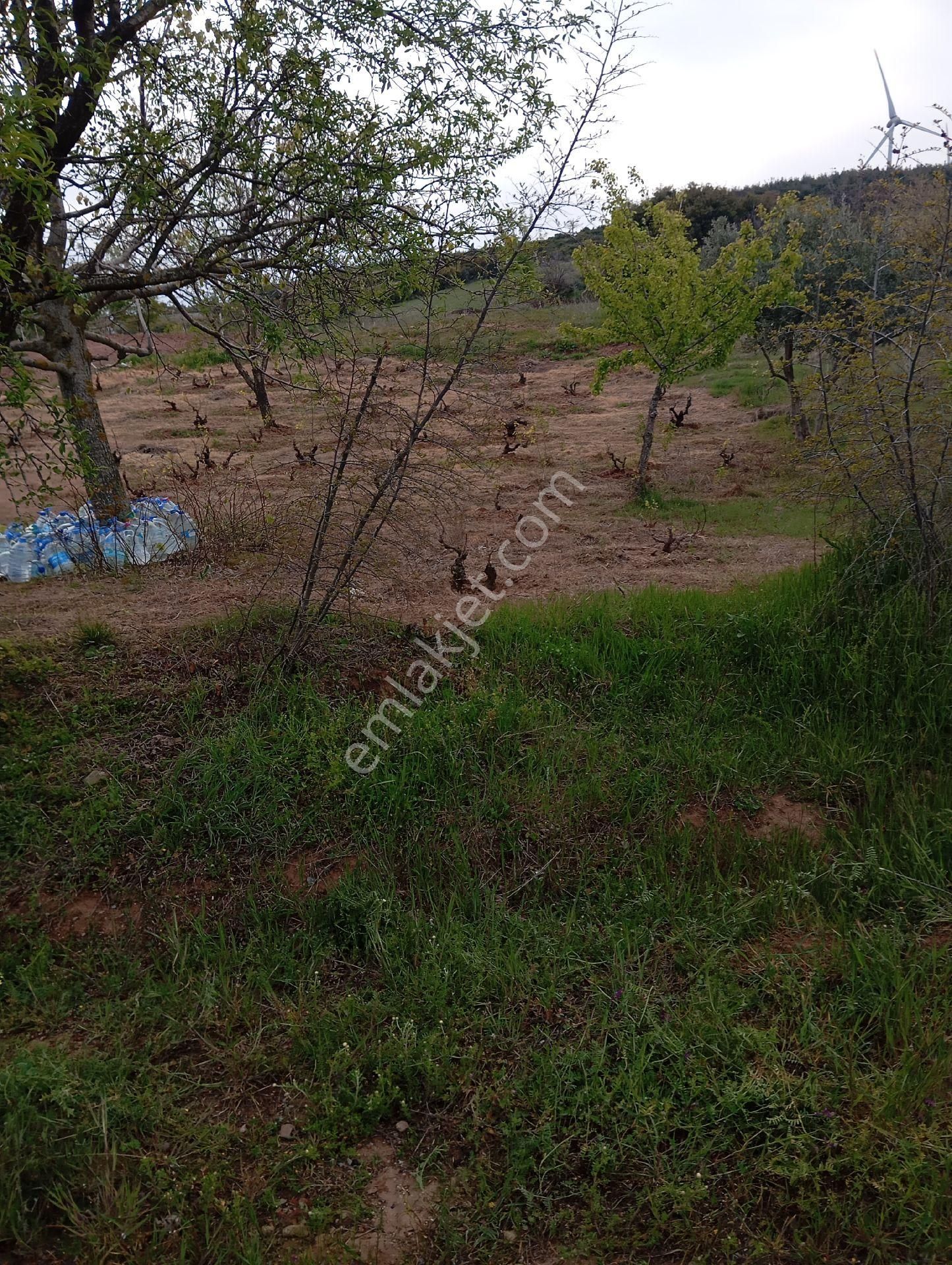 Parlar Emlaktan Satılık Bitişik Arsalar Birisi 420 Metre Birisi 410 Metre Elektrik Su Mevcut - Görsel 20