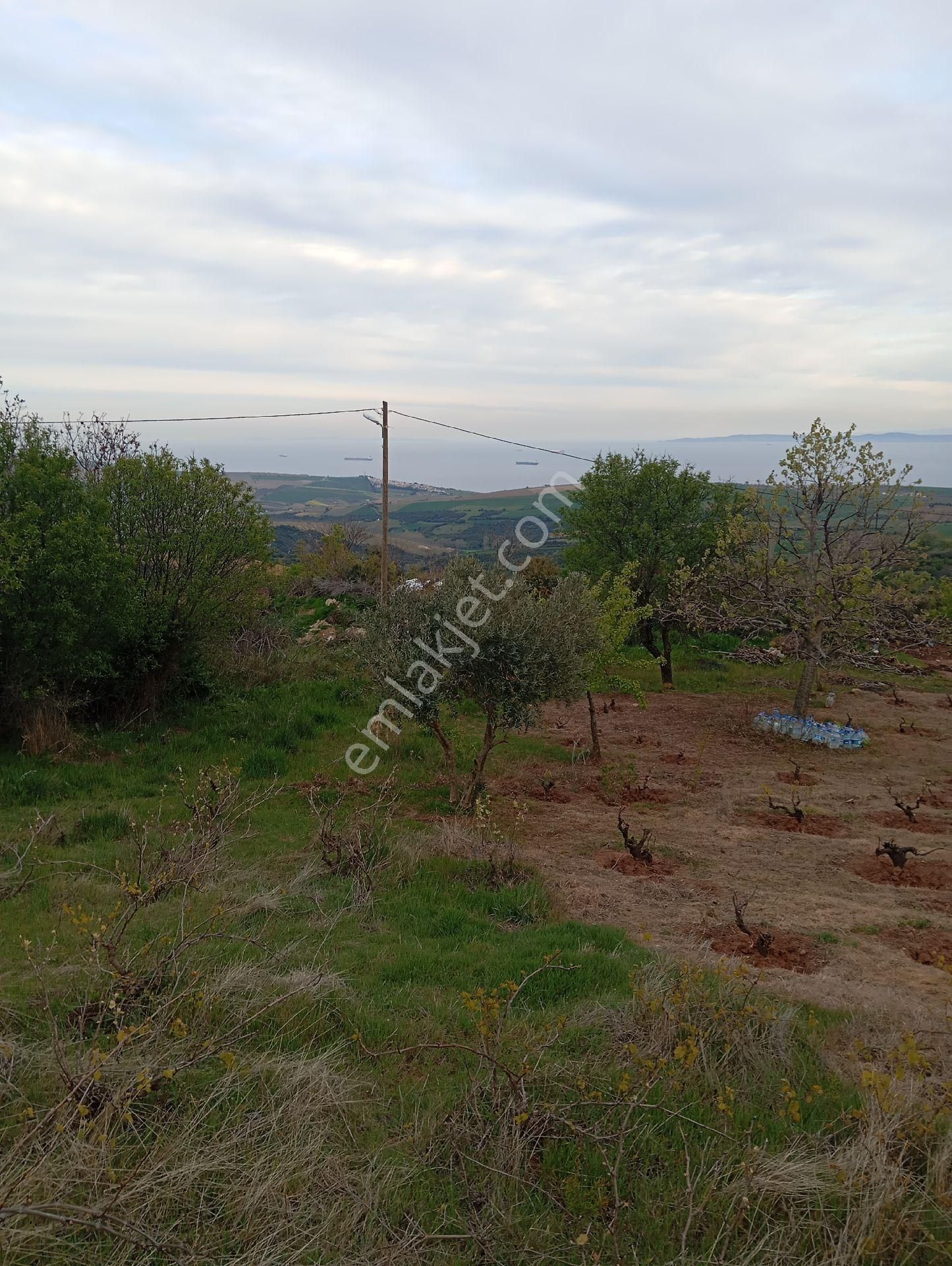 Parlar Emlaktan Satılık Bitişik Arsalar Birisi 420 Metre Birisi 410 Metre Elektrik Su Mevcut - Görsel 8