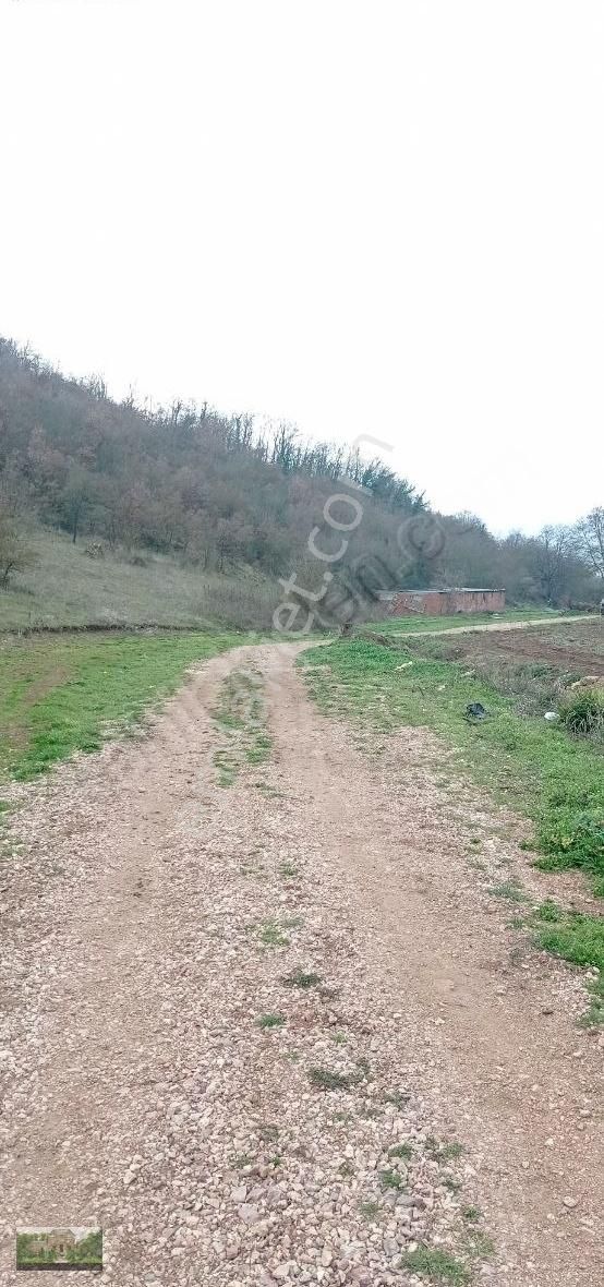 Kestel Ümitalan Köyün De Çiftlik İçin Arazi - Görsel 4