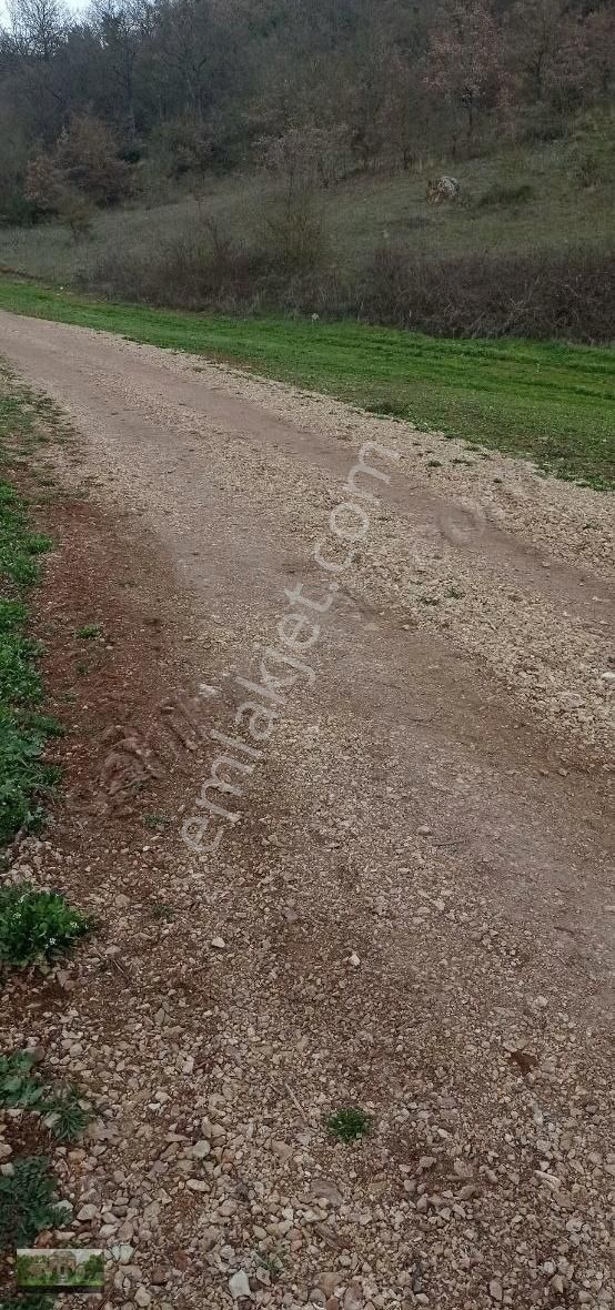 Kestel Ümitalan Köyün De Çiftlik İçin Arazi - Görsel 24