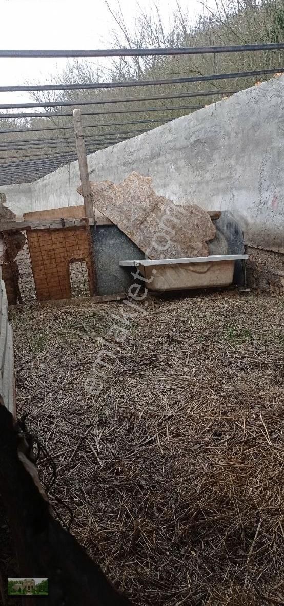 Kestel Ümitalan Köyün De Çiftlik İçin Arazi - Görsel 12