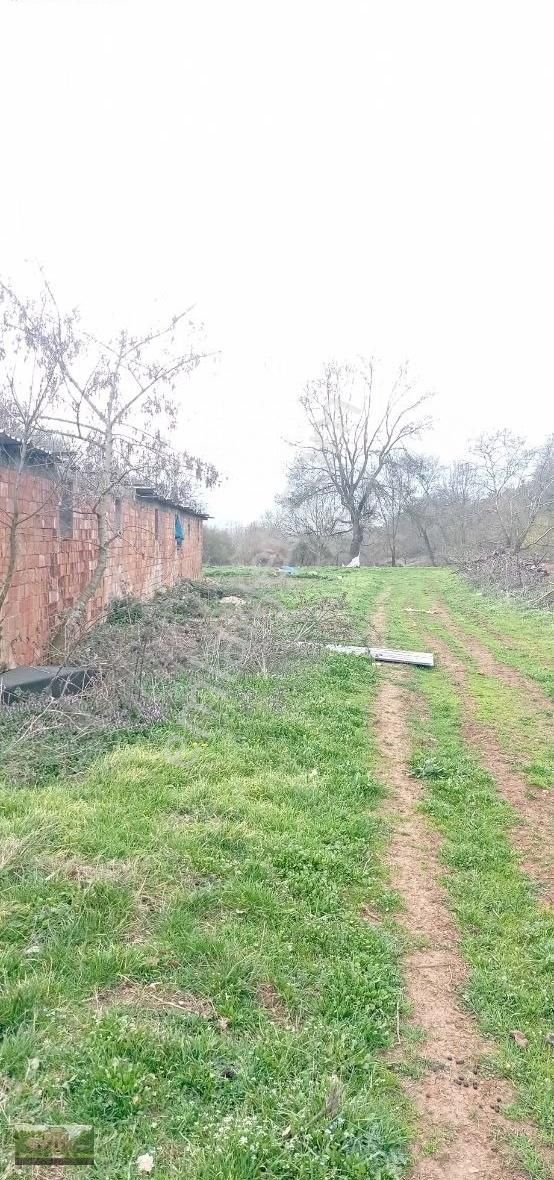 Kestel Ümitalan Köyün De Çiftlik İçin Arazi - Görsel 28