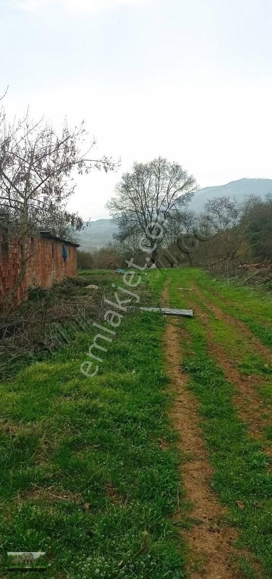 Kestel Ümitalan Köyün De Çiftlik İçin Arazi - Görsel 26