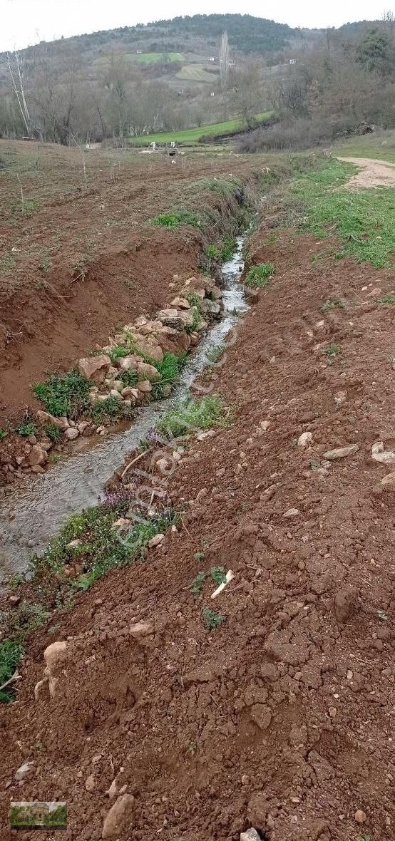 Kestel Ümitalan Köyün De Çiftlik İçin Arazi - Görsel 19