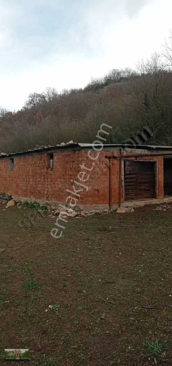 Kestel Ümitalan Köyün De Çiftlik İçin Arazi - Görsel 31