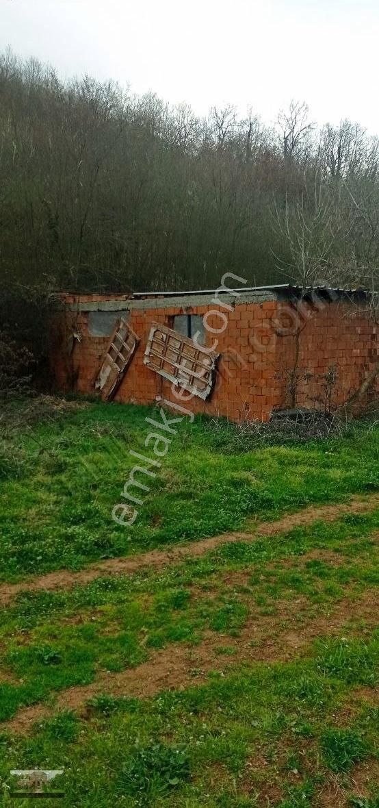 Kestel Ümitalan Köyün De Çiftlik İçin Arazi - Görsel 20