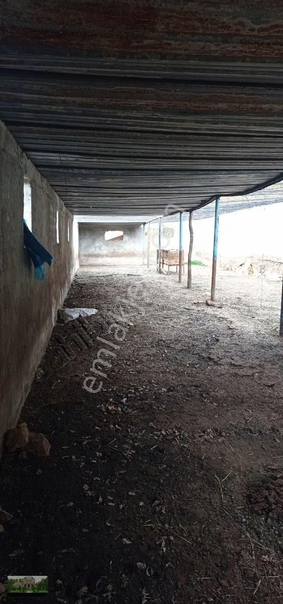 Kestel Ümitalan Köyün De Çiftlik İçin Arazi - Görsel 21