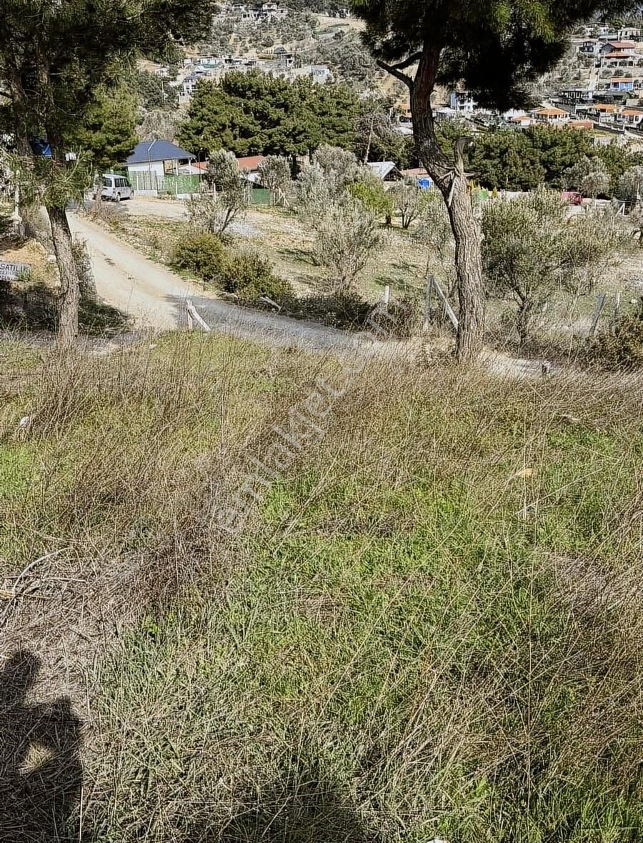 Bornova Yakaköy Ve Damlacık Ortasında Satılık Tapulu Son Parsel - Görsel 11