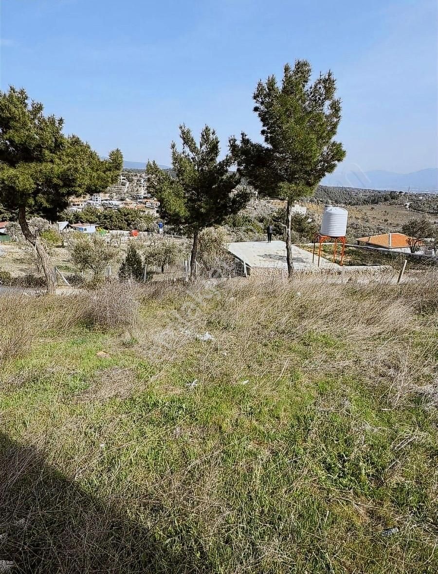 Bornova Yakaköy Ve Damlacık Ortasında Satılık Tapulu Son Parsel - Görsel 5