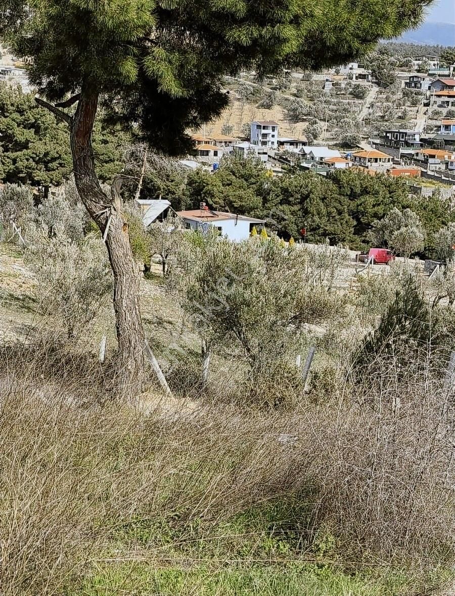 Bornova Yakaköy Ve Damlacık Ortasında Satılık Tapulu Son Parsel - Görsel 23