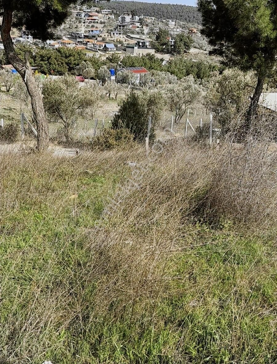 Bornova Yakaköy Ve Damlacık Ortasında Satılık Tapulu Son Parsel - Görsel 7